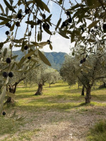 /album/galleria-foto-guarrelle/whatsapp-image-2025-10-12-at-15-18-40-2-jpeg/